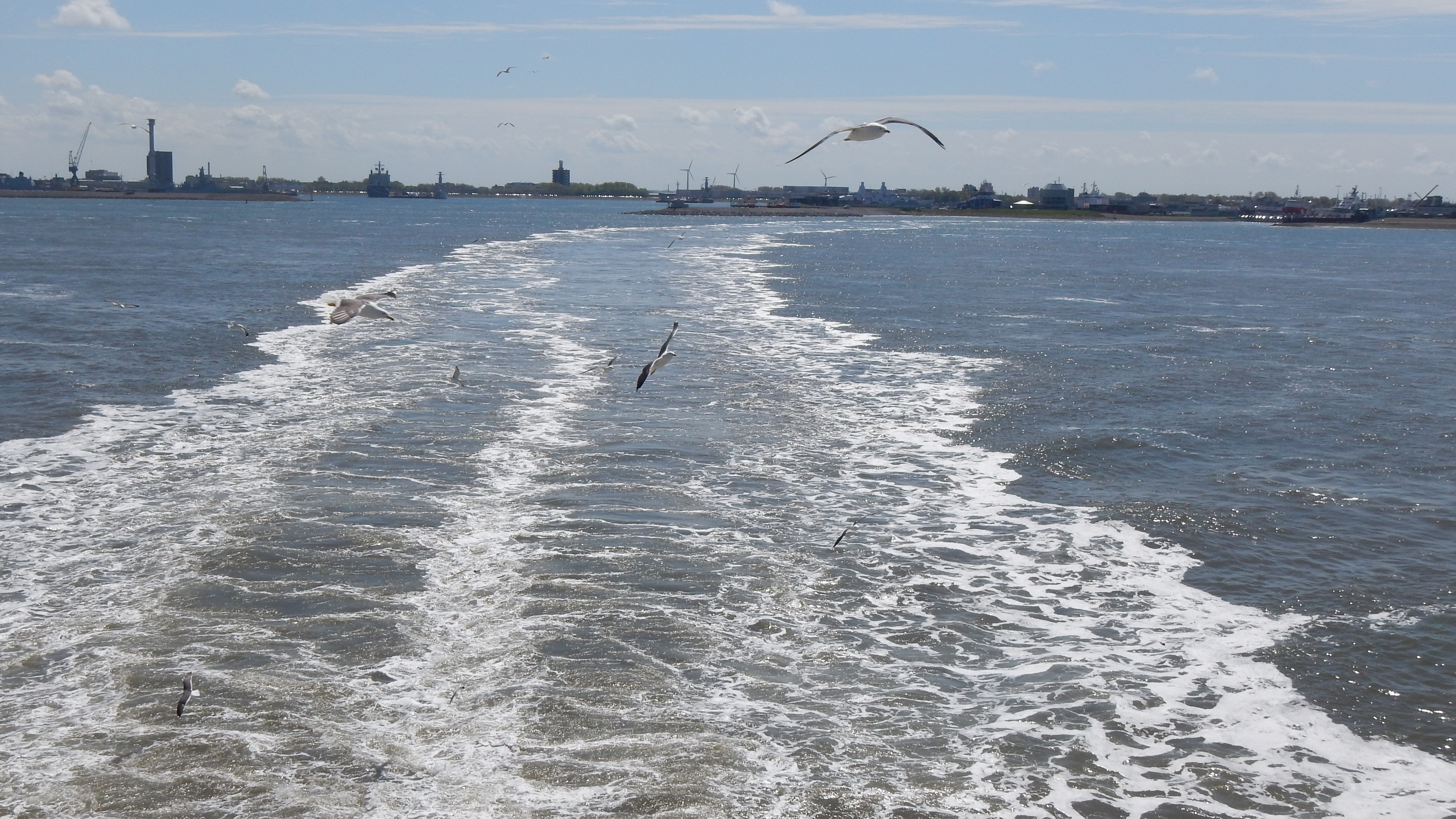 HWK Texel 2015 003.jpg
